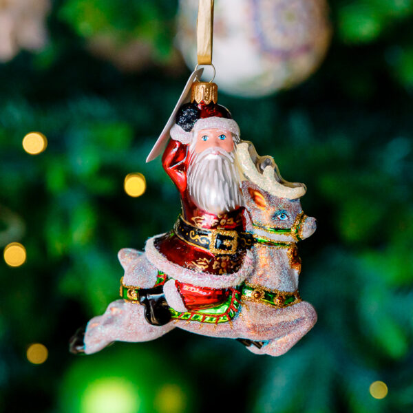 Santa on reindeer 1k0a7557