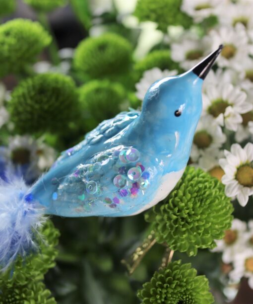 Birds – Spring bird – black Img 8220 2 scaled