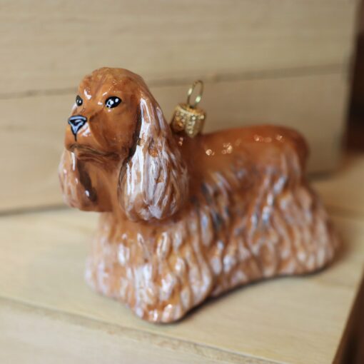 Komozja - Psy - Cocker spaniel Vincenty Img 1151 scaled