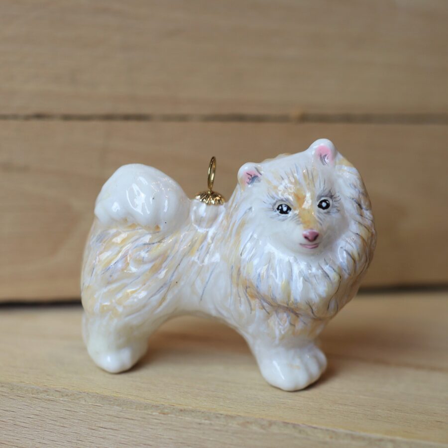 Komozja - Psy - Szpic Chojrak  Img 1173 scaled