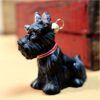 Psy Komozja - Scottie Nero Psy 05