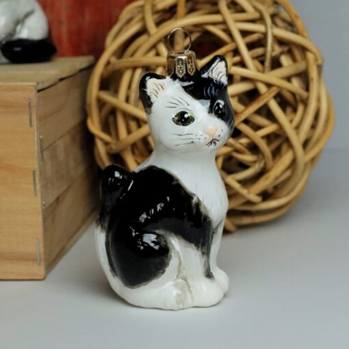 Cats Komozja - Black & White Mietek Mg 2595 scaled