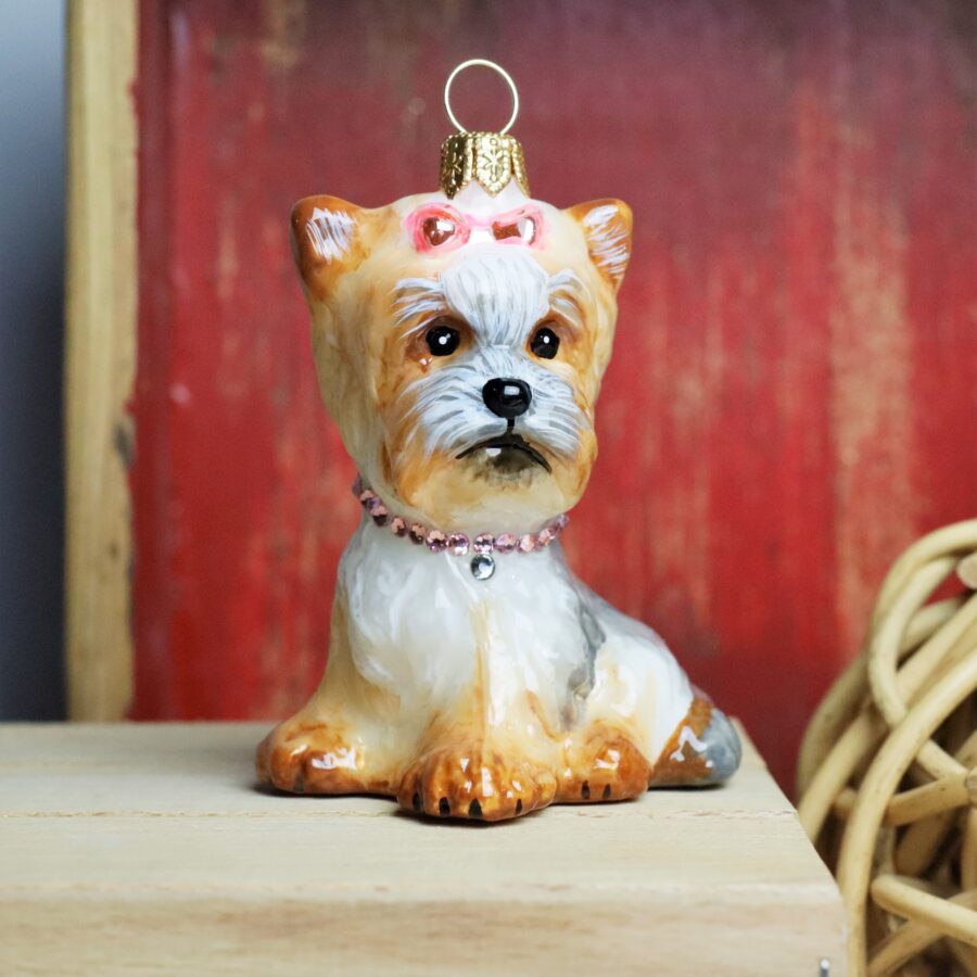 Komozja - Psy - York Bella  Mg 2596 scaled