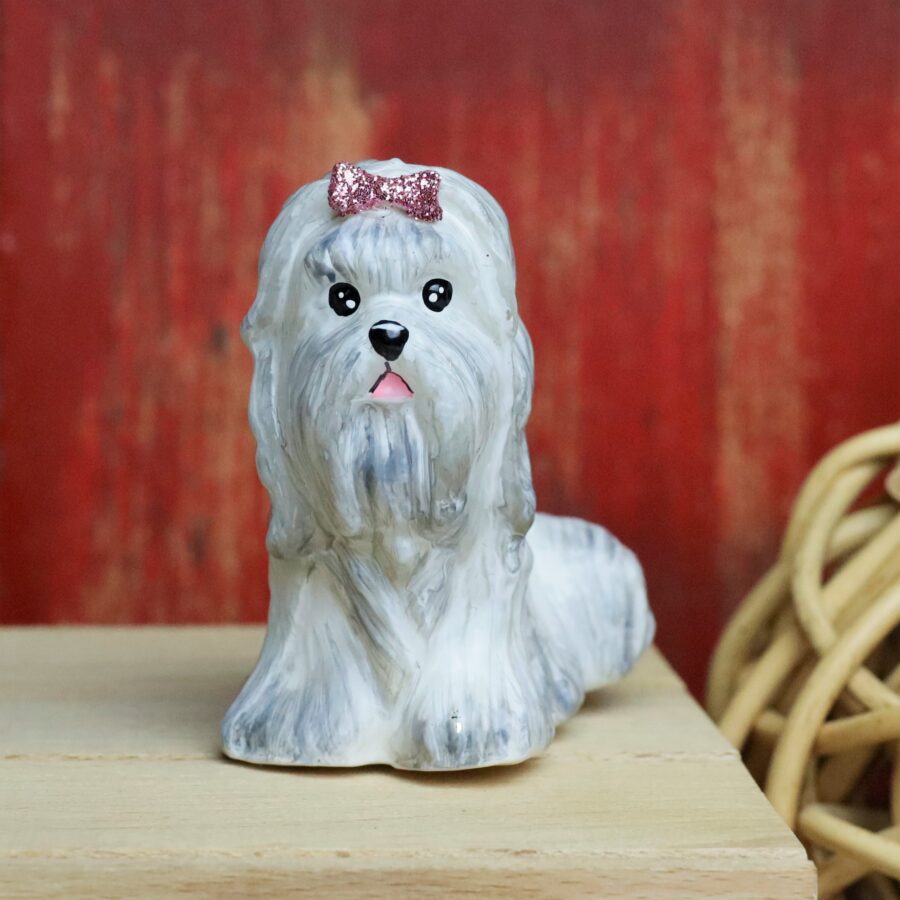 Komozja - Psy - York Reina  Mg 2606