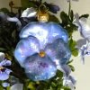 Purple pansy with crystal Mg 5272 scaled