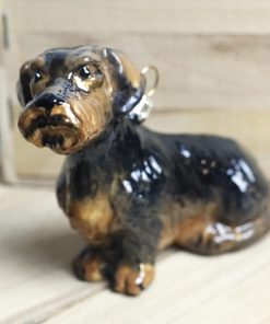 Komozja dogs - Wirehaired dachshund (Kopia) Mg 6122 scaled