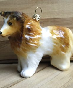 Owczarek szkocki collie długowłosy - bombka  Mg 6127 scaled