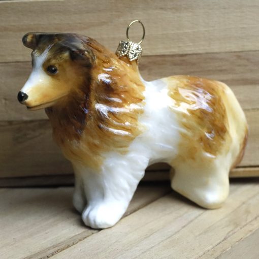 Komozja - Psy -Owczarek szkocki collie długowłosy Mg 6127 scaled