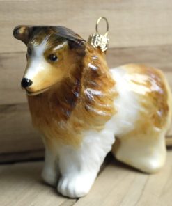 Owczarek szkocki collie długowłosy - bombka  Mg 6128 scaled