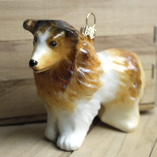 Komozja - Psy -Owczarek szkocki collie długowłosy Mg 6128 scaled