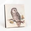 Notebook A7 50k - Eurasian boreal owl S8 bombkarnia scenografia 35